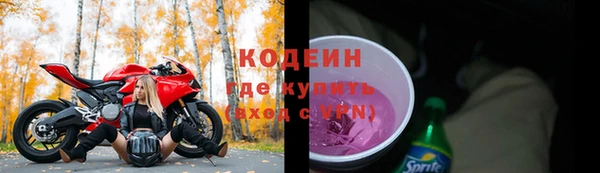 хмурый Белокуриха