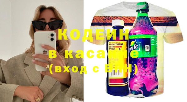 хмурый Белокуриха