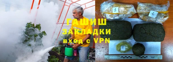 хмурый Белокуриха