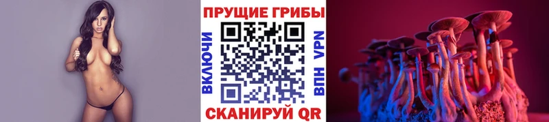 Галлюциногенные грибы Cubensis  mega   Великий Устюг 