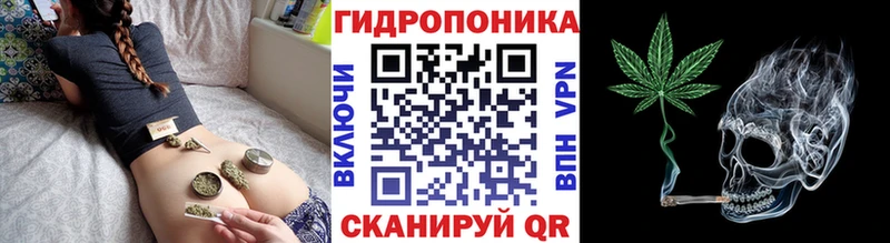 Бошки Шишки Amnesia  сколько стоит  Великий Устюг 